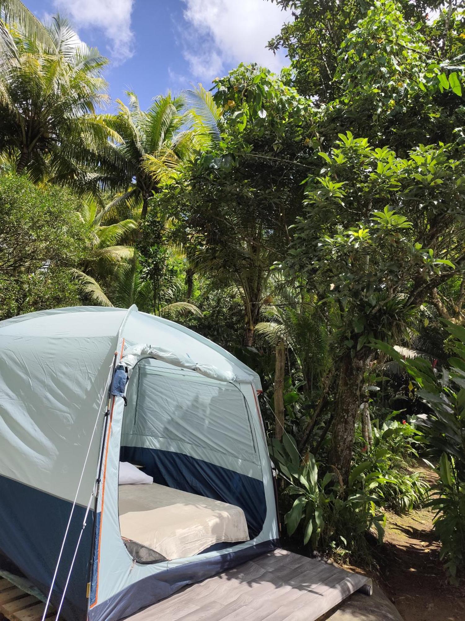 Camping A La Ferme Gros-Morne Esterno foto