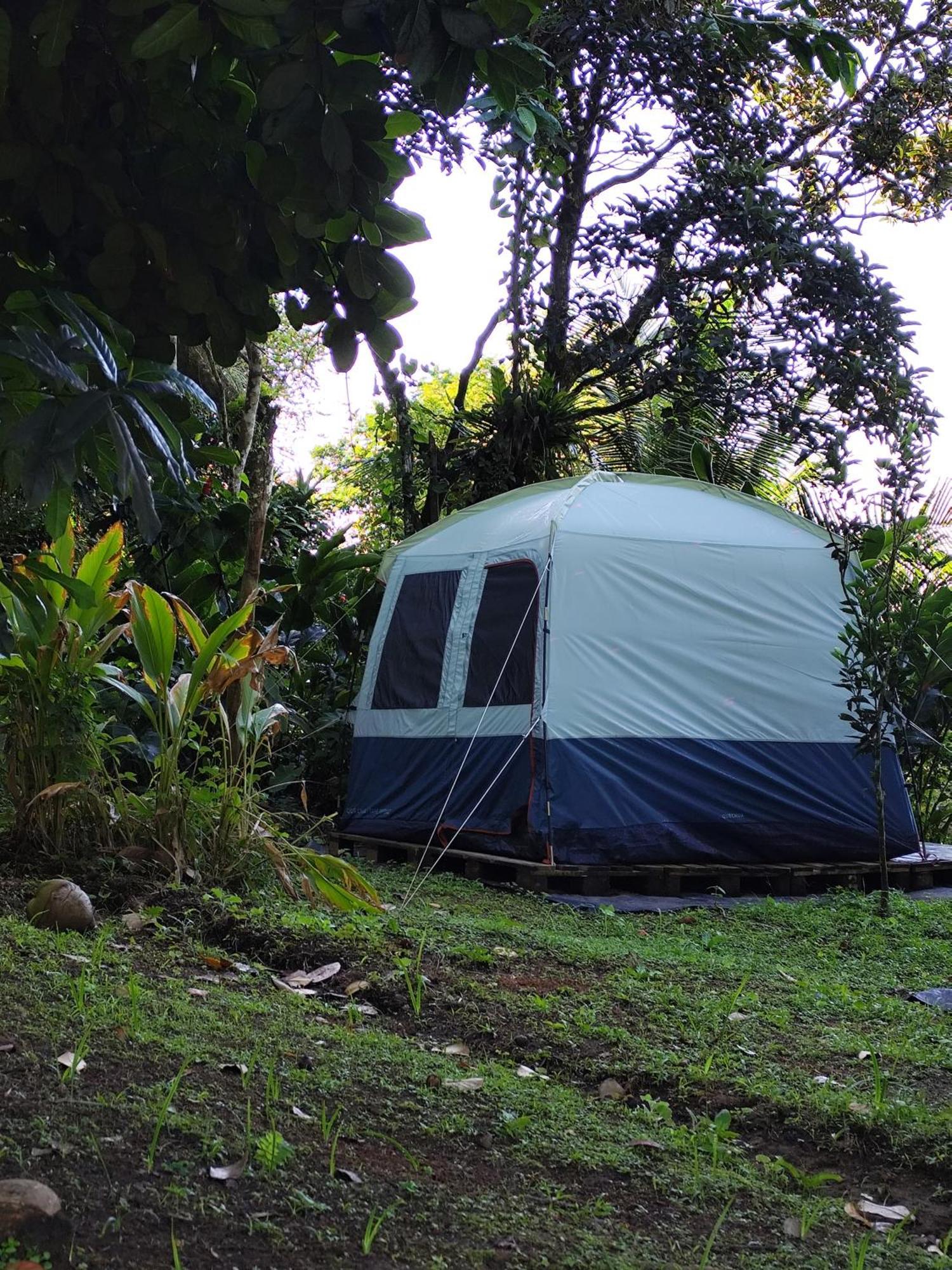 Camping A La Ferme Gros-Morne Esterno foto