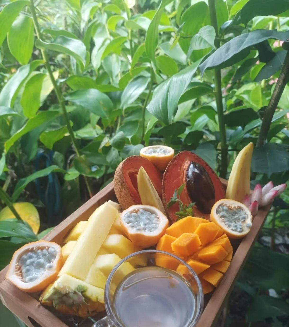 Camping A La Ferme Gros-Morne Esterno foto